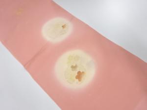 大特価品　未使用品　正絹　丹後ちりめん　帯揚げ